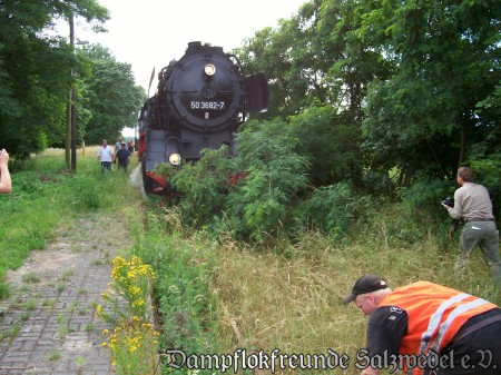 Large Image