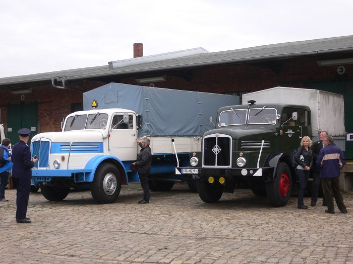 Large Image