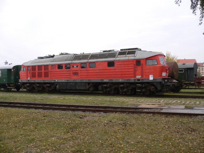 Large Image