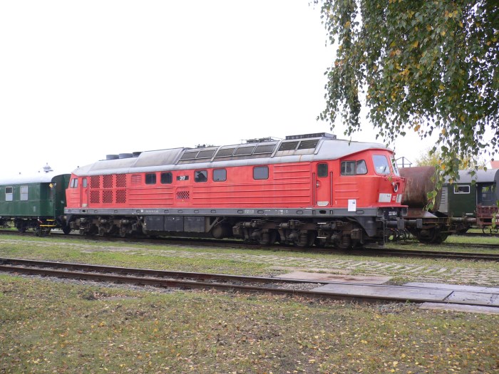 Large Image
