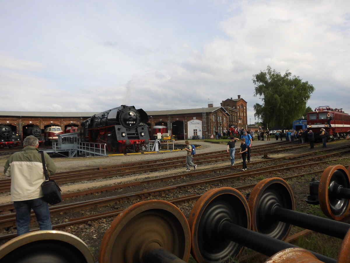 Large Image