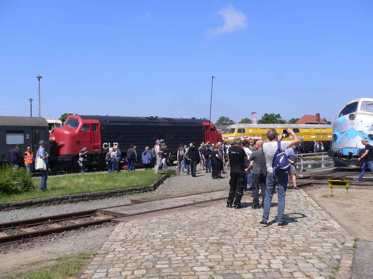 Large Image