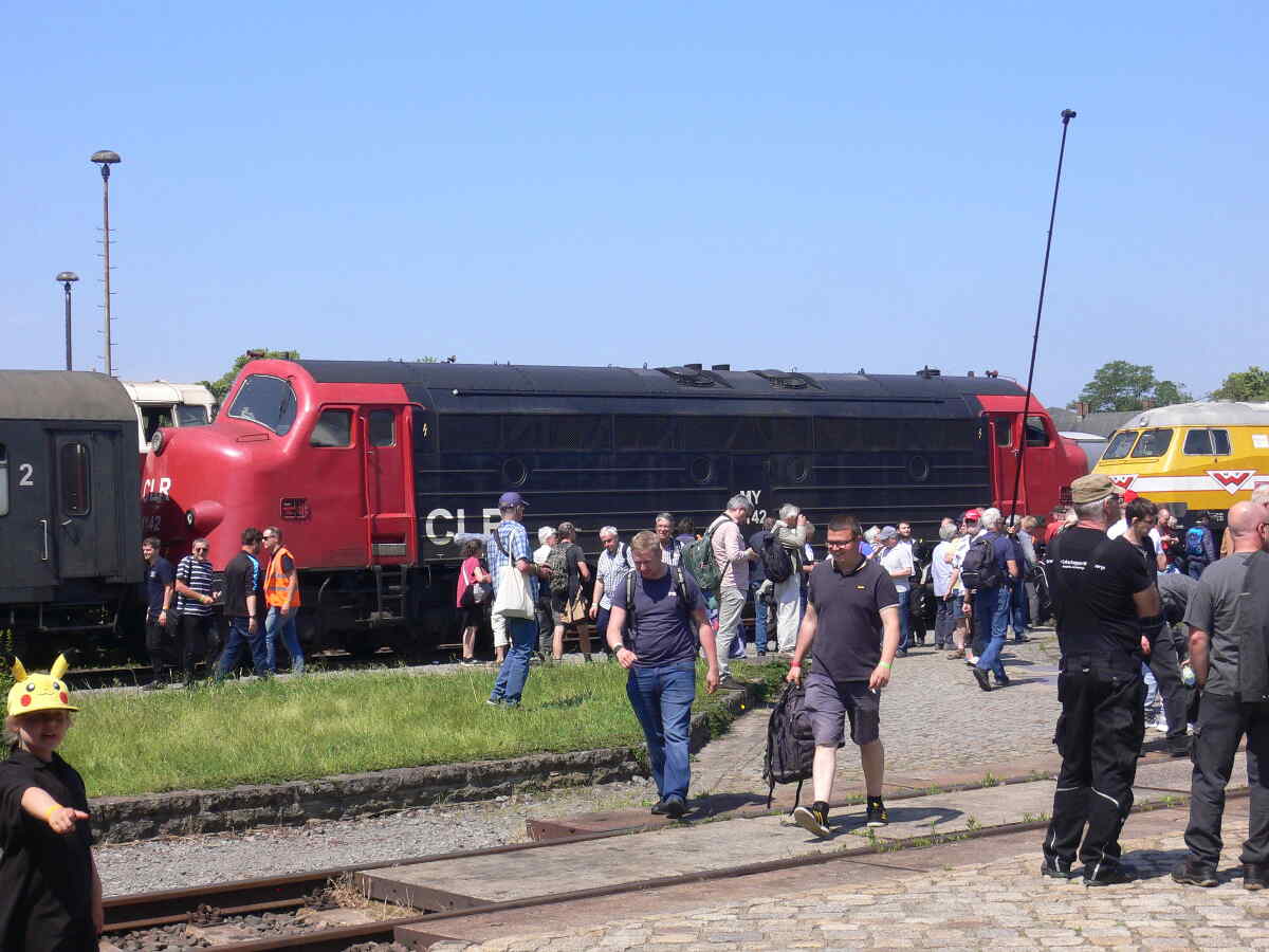 Large Image